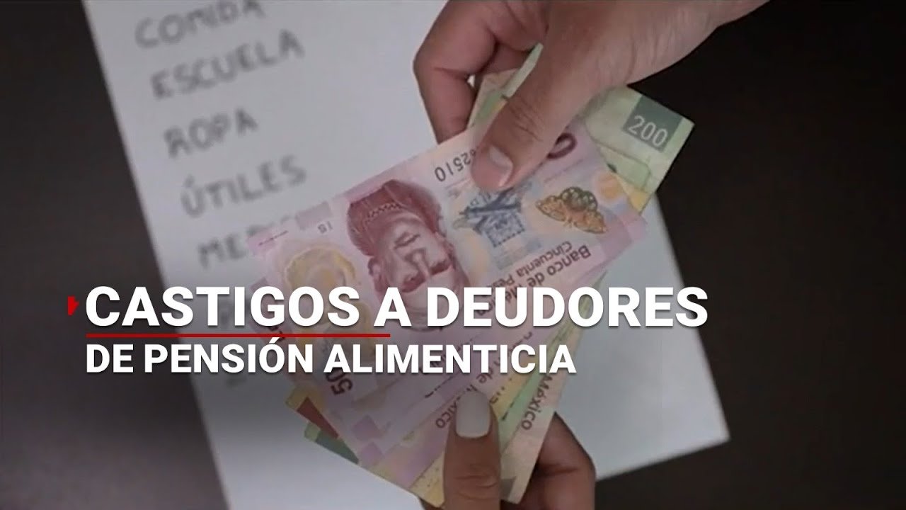 como denunciar a un deudor alimentario moroso