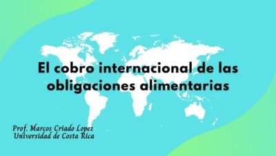 como las obligaciones alimentarias garantizan el derecho a la educacion