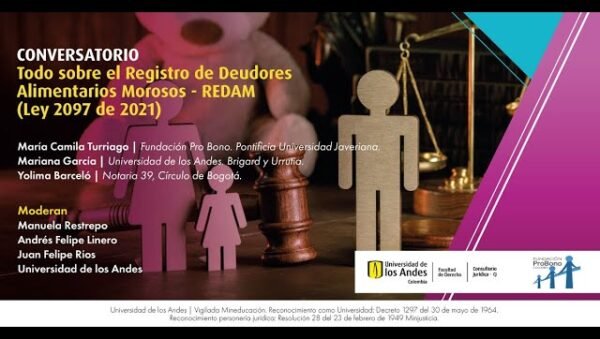 la participacion de las autoridades en casos de deudores alimentarios