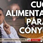 Obligaciones Alimentarias en Casos de Divorcio