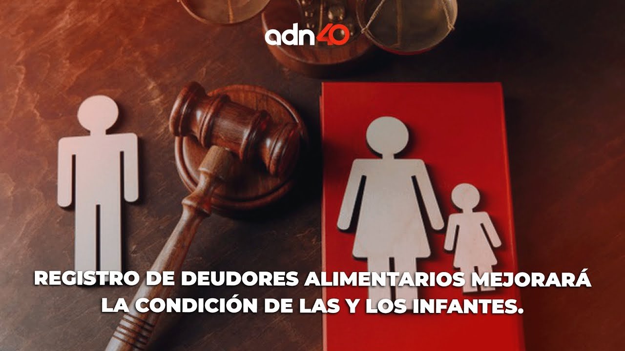 percepcion social de los deudores alimentarios en mexico