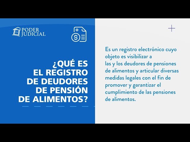 que es el registro de deudores alimentarios