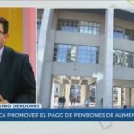 Registro Nacional de Deudores Alimentarios: Todo lo que Debes Saber