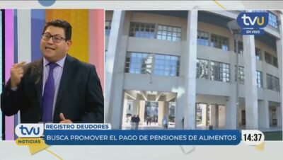 registro nacional de deudores alimentarios todo lo que debes saber